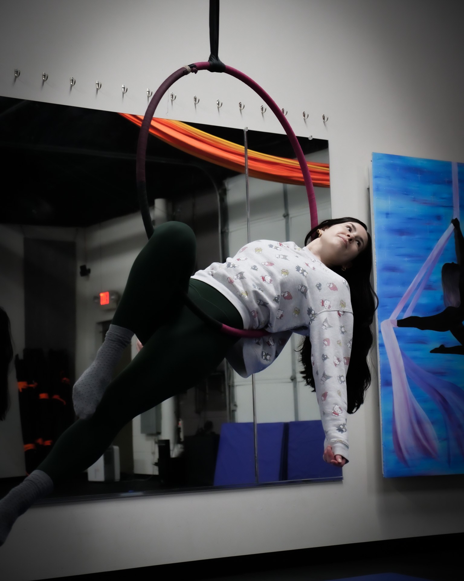 Aerial arts training Wixom near Novi Michigan